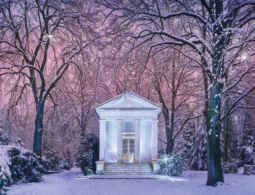 LIONS Adventskalender 2025